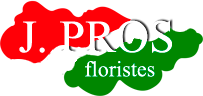 Flors J. Pros
